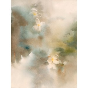 Hafsa Shaikh, 11 x 15 inch, Water Color On Paper, Floral Painting, AC-HFS-054